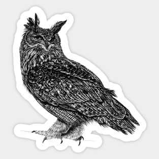 Eurasian eagle owl Sticker